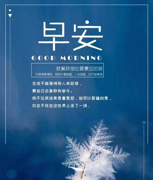 绽放美丽的清晨——早安心语唯美句子（用正能量的语言迎接美好的一天）