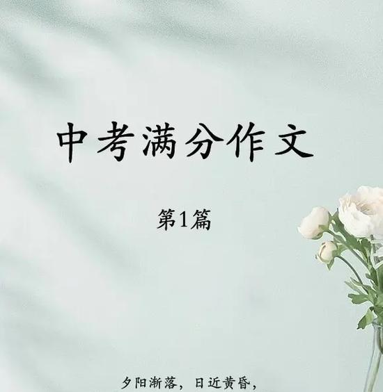放下手机，让亲情常在（一个母女的故事）