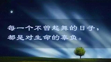 韧性之脊（低谷无惧）