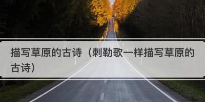 野火烧不尽，春风吹又生