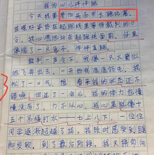 老师的鼓励让我不再害羞（从蜷缩角落到自信展示——一位学生的成长历程）