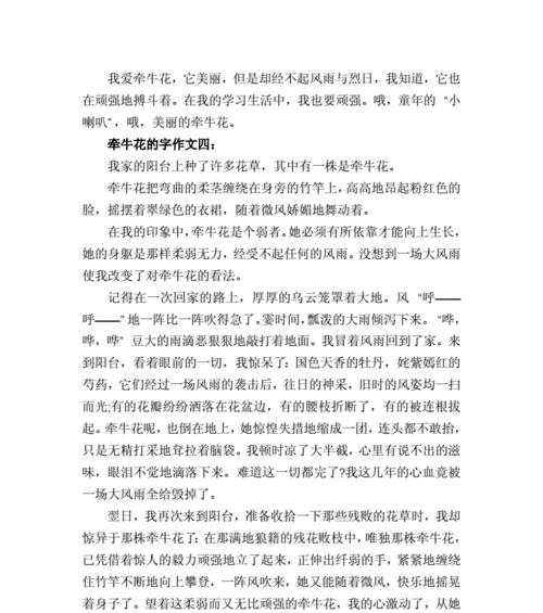 等待着我的彩虹（每个人都需要经历风雨）