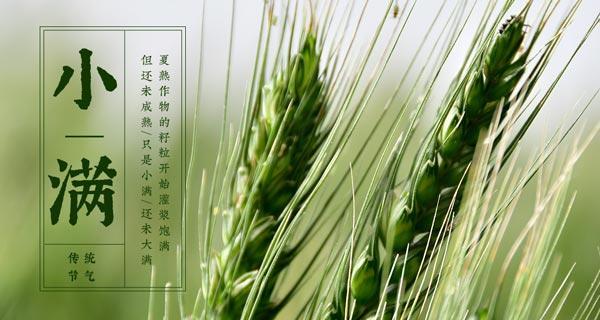 大满小满，享受口福（一群吃货的美食之旅）