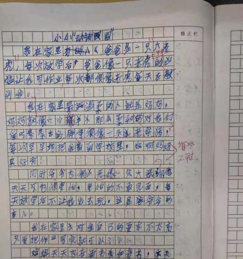 爷爷的宠爱（一个让我感动的家庭故事）