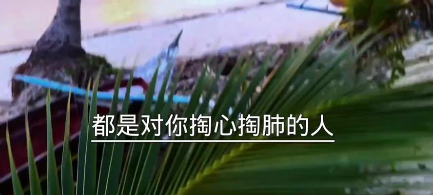 奶奶的掏心掏肺（她的爱永远不会消逝）