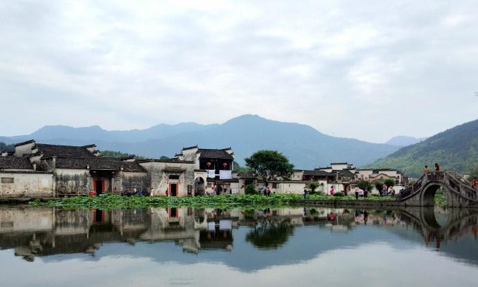 嗅着木香入眠，梦中不愿醒来（一束香草）