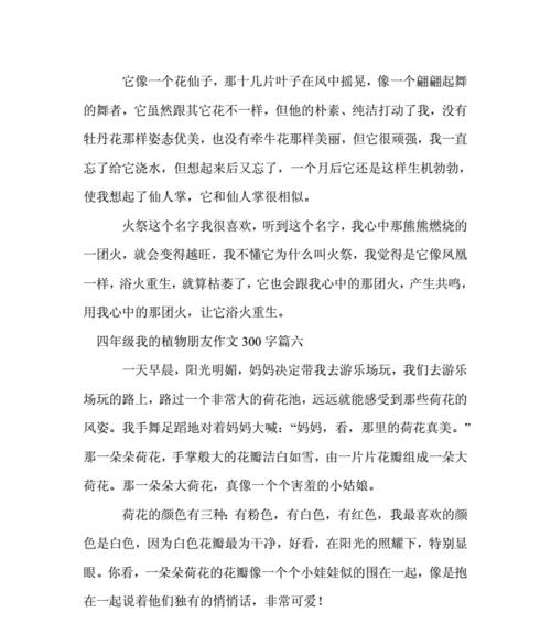 荷语教会我不再孤独（沟通的魔力和友情的力量）