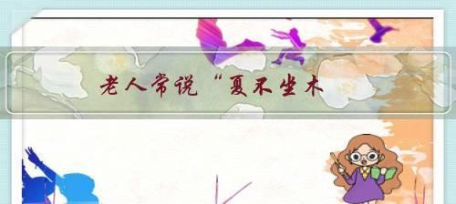 春花夏木（漫步季节更替间的故事）
