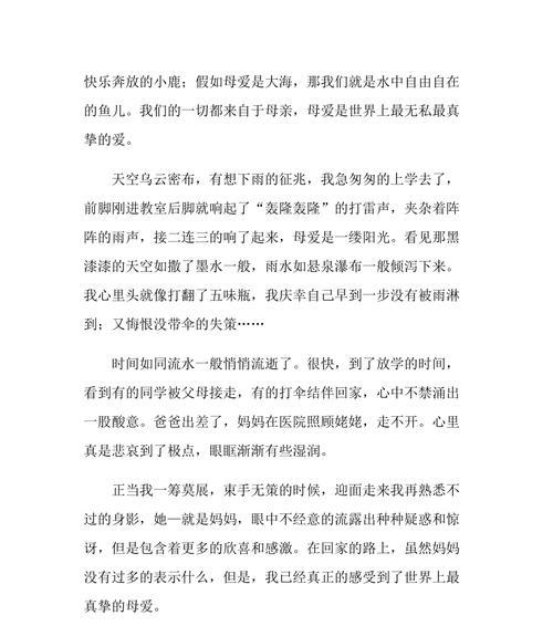友谊之光：两个灵魂的奇妙相遇