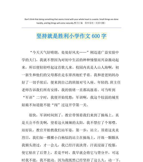 走不到终点的努力（一段悲惨的历程与无尽的努力）