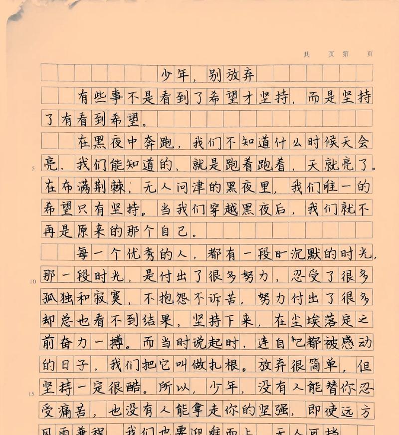 勇气的双面刃——坚持与放弃的故事（一个勇敢的少年在面对梦想与现实时的抉择）