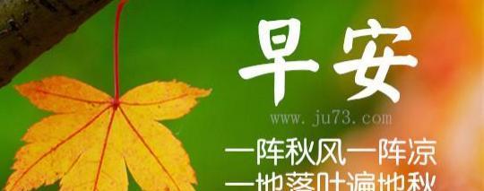 寒露提醒，保暖在心间（唤醒冬日的温暖）