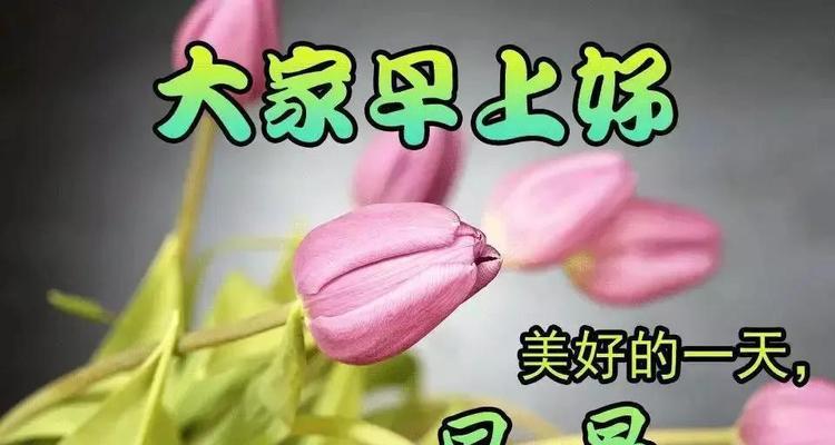 以唯美短句为主的问候语（以唯美短句为主的问候语）