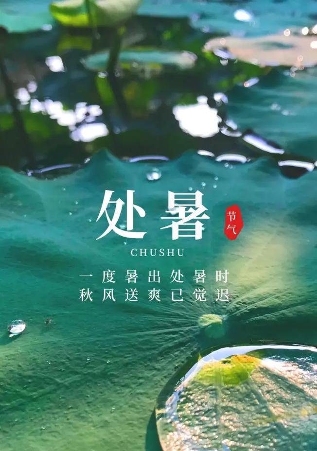 一场盛夏的处暑（唯美诗句）