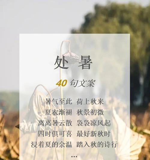一场盛夏的处暑（唯美诗句）