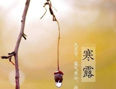 让微信传递寒露时节的祝福（让微信传递寒露时节的祝福）