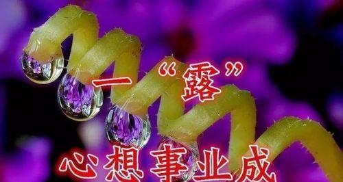 寒露祝福语，送你一份温暖（挥别酷暑）