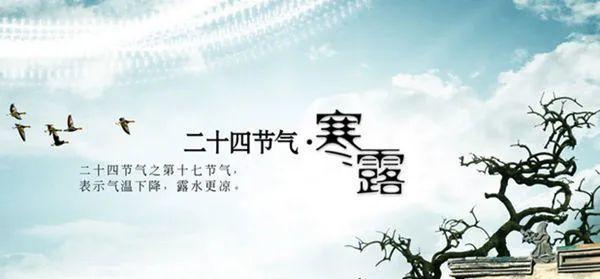 寒露时节，芳菲满园（25句唯美短语）