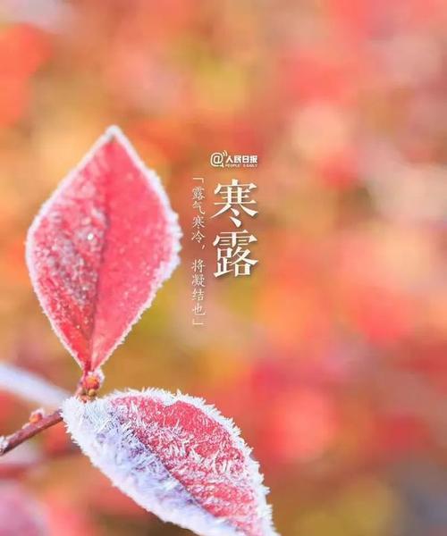 寒露时节，祝福飘荡（秋意渐浓）