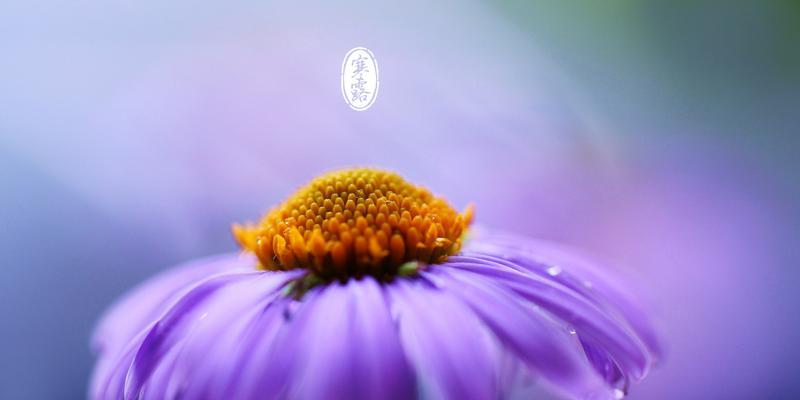 寒露时节，祝福飘荡（秋意渐浓）