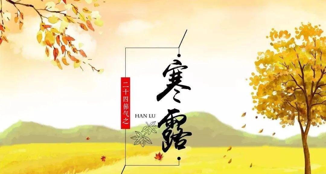 秋风送来我的祝福（寒露时节）