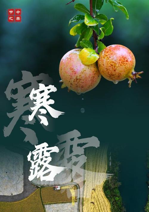 秋风送来我的祝福（寒露时节）