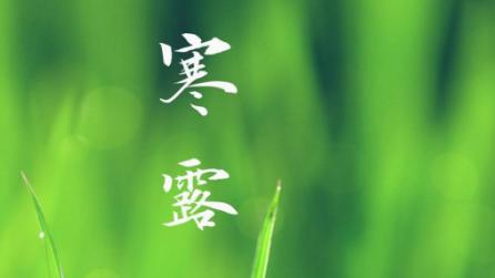 寒露时节，思念亲友不停歇（寒露时节）