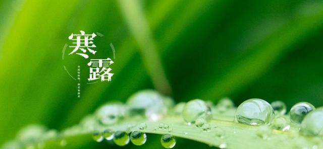 秋日寒露，问候朋友（唯美短句）