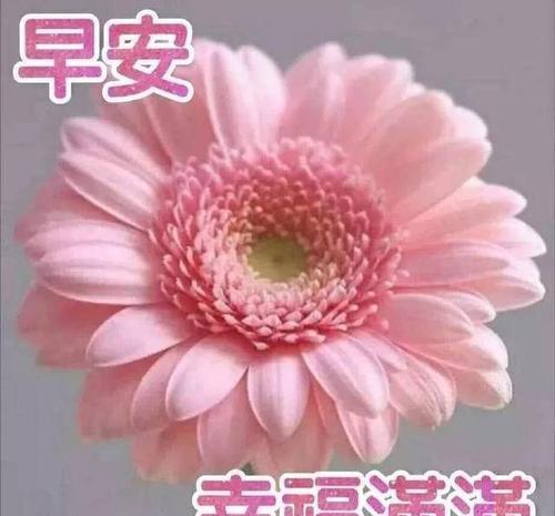 秋日寒露，问候朋友（唯美短句）