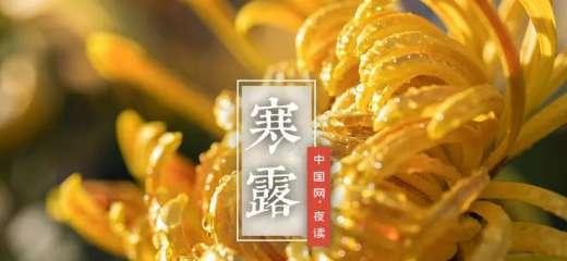 秋意渐浓，寒露送祝福（秋意渐浓）