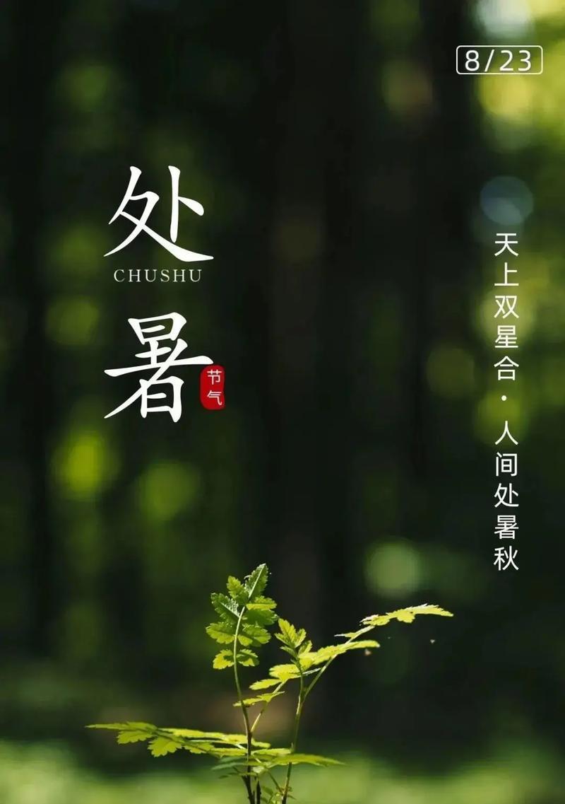 温情的祝福，抚慰你的心灵（温情的祝福）