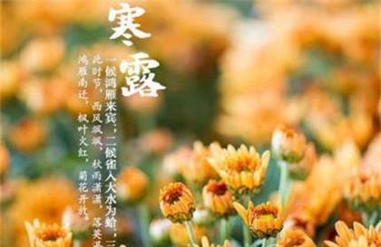 冷秋送暖，祝福千万（秋日里的暖心话）