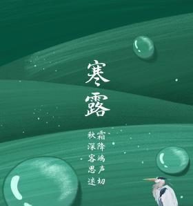 寒露节气祝福语录（唯美句子）