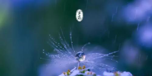 关心问候的美好时光——以寒露节气为主题（用唯美短句传递无限温暖）