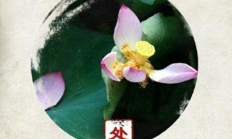 用心感受夏日风情，留下美好回忆（用心感受夏日风情）