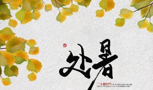 用心感受夏日风情，留下美好回忆（用心感受夏日风情）