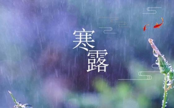 秋意渐浓，冬日将至（寒露初冬）