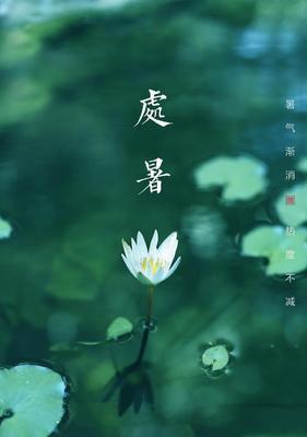 追逐炎炎夏日的美好时光（走进处暑）
