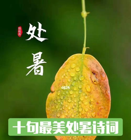 秋天的悸动——以处暑心情说说抖音好句（流淌着唯美的秋意）