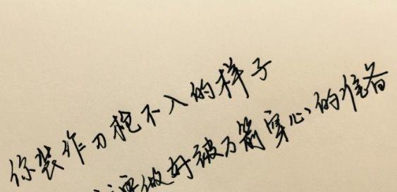 生命的哲理（探索人生的智慧）