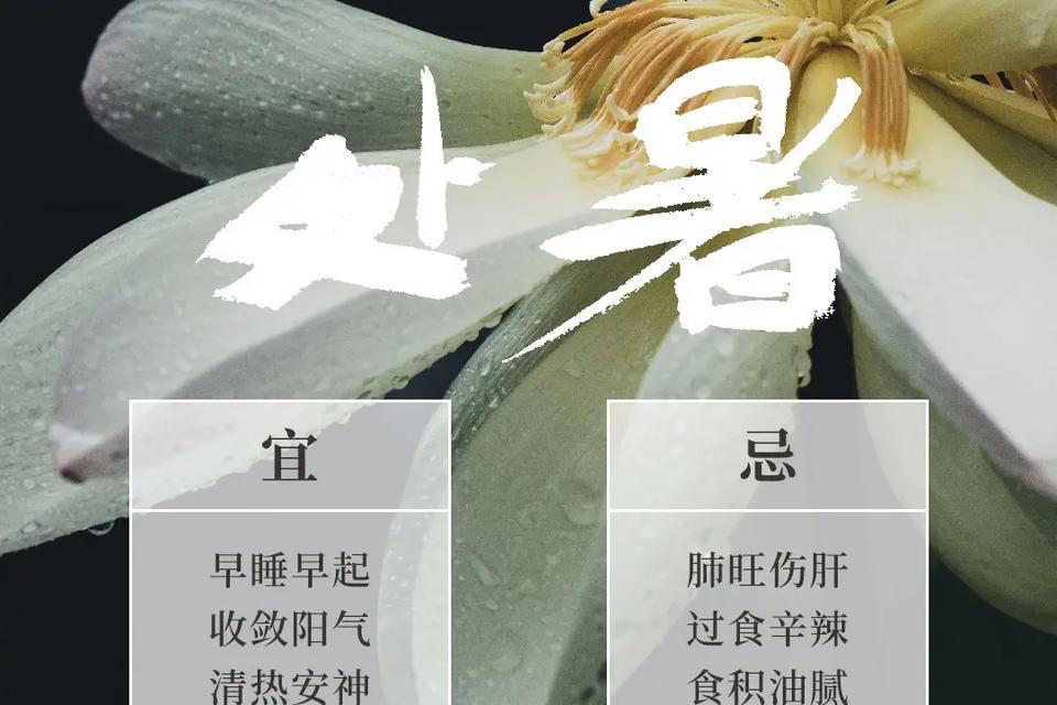 处暑之美——唯美短句描绘夏季结束的神秘气息（用25个段落）