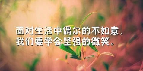 时光不老，我亦不散（时光不老）