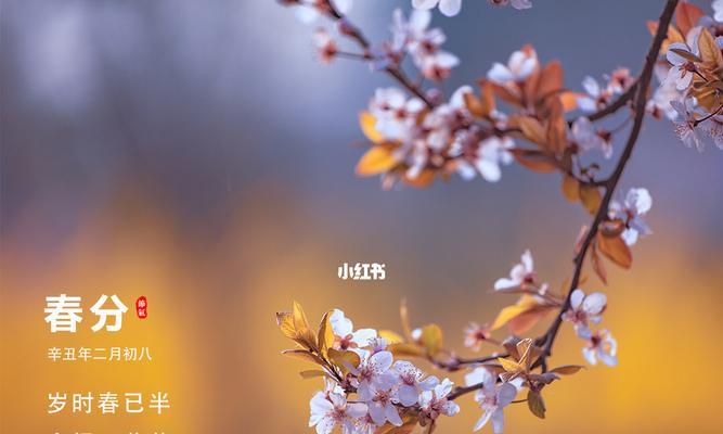 《春分时节，花开人间》
