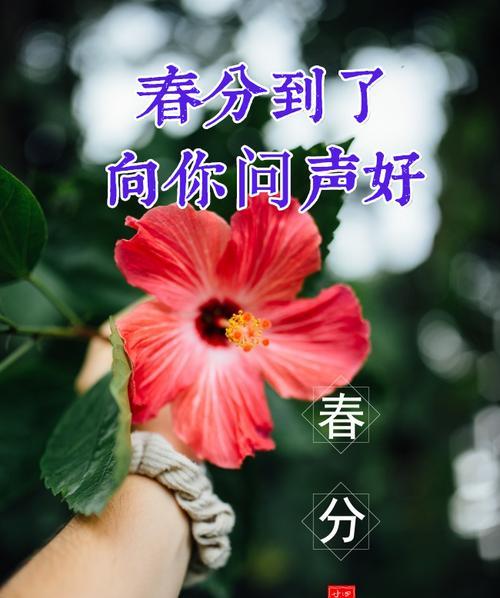 《春分时节，花开人间》