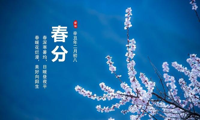 《春分时节，花开人间》