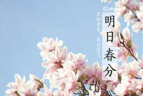 回归自然，感受生命（回归自然）