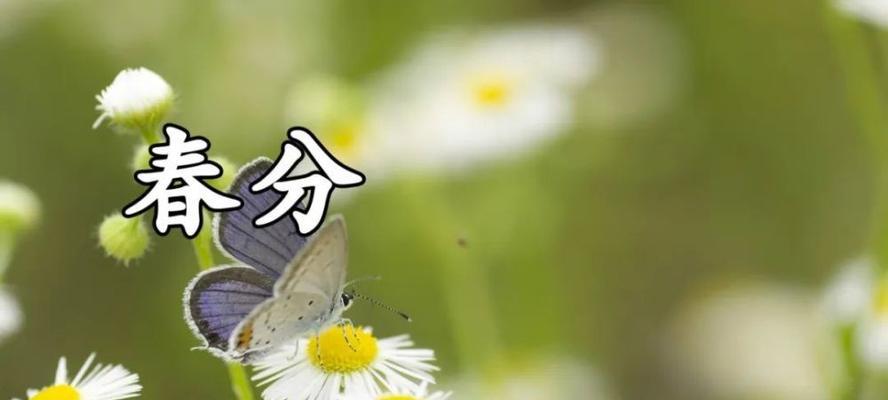 以春分节气为主题的祝福语（25句唯美短句）