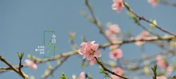 以春分节气为主题的祝福语（25句唯美短句）