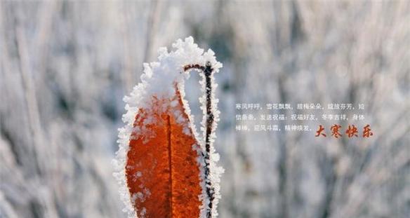 冬季的最后节点（冬季的最后节点）