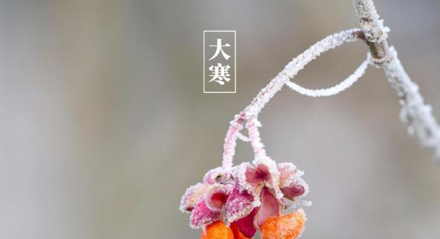 大寒节气下的唯美世界（冬日中的温馨与美丽）